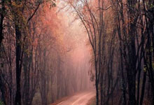 柏林赫塔客场小胜,积分榜逐渐攀升