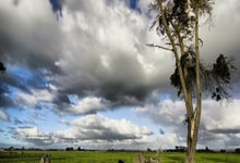 世界杯篮球赛事谁能独领风骚？