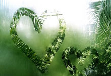 柏林赫塔客场小胜,积分榜逐渐攀升