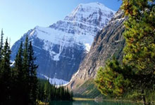 世界杯篮球赛事谁能独领风骚?