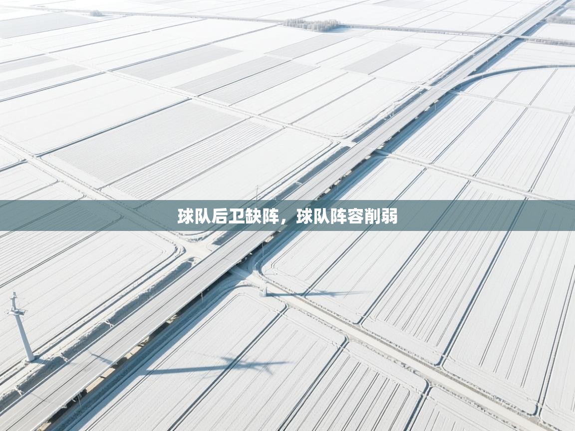 球队后卫缺阵,球队阵容削弱