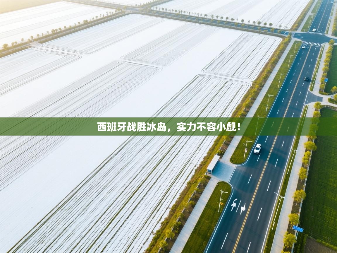 西班牙战胜冰岛,实力不容小觑! 第1张