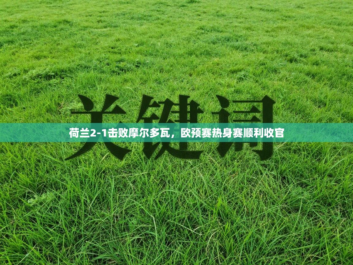 荷兰2-1击败摩尔多瓦，欧预赛热身赛顺利收官  第2张