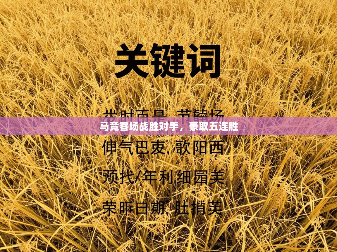 马竞客场战胜对手，豪取五连胜  第2张